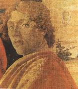 Sandro Botticelli Young man in a Yellow mantle (mk36) oil painting on canvas